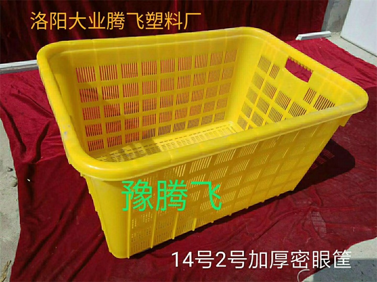塑料周转筐在餐饮服务中的具体应用有哪些？